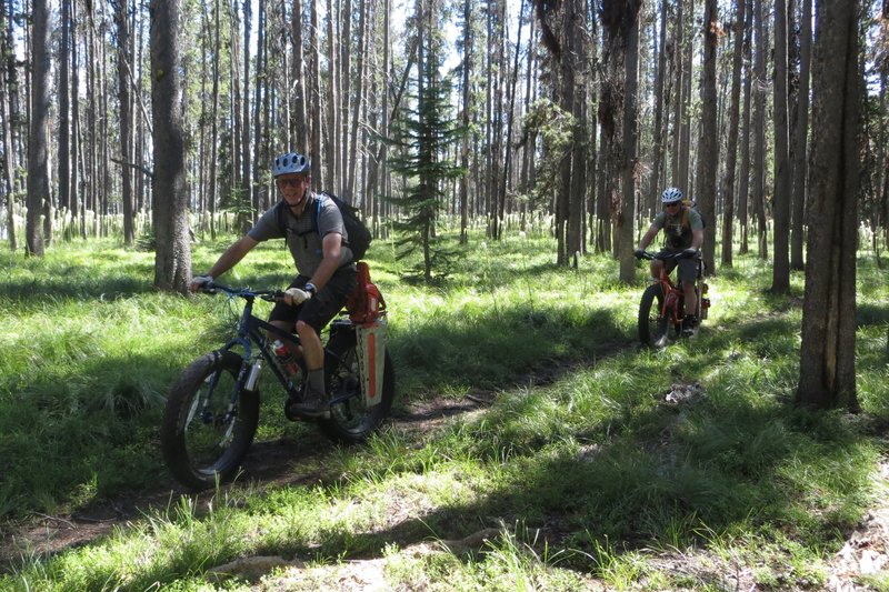 Fat Bikes and chainsaws.