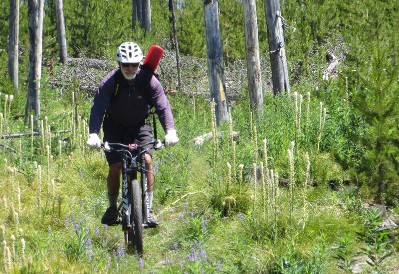 Enjoying the fruits of trail clearing