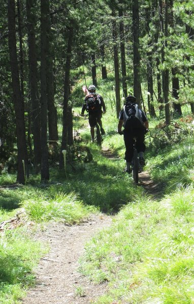 On Hogan Creek Trail