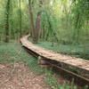 This 4' wide bridge spans about 150'.  This is the lowest point on the Victor Ashe trail.