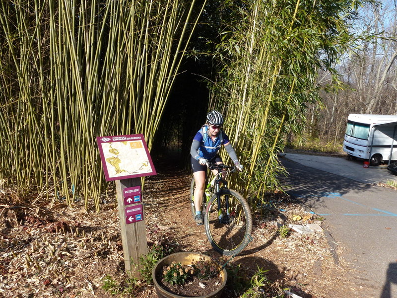 Bamboo entrance off View Park Dr.