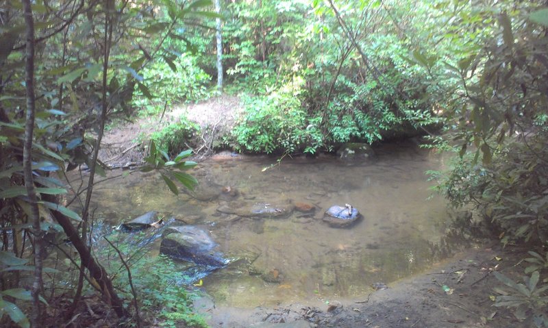 First creek crossing.