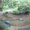 First creek crossing.