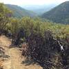 Near the high point on Halls of Manzanita