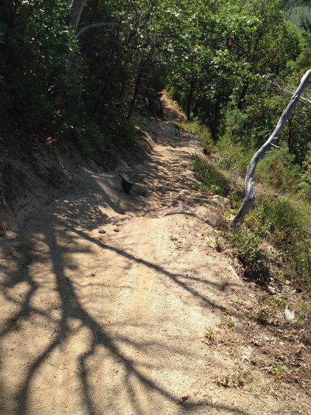 Granite Trail in Cantrall Gulch
