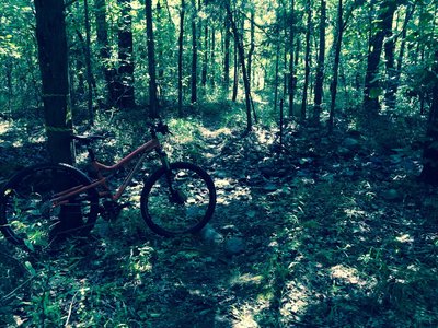 Dry creek crossing on flat section.