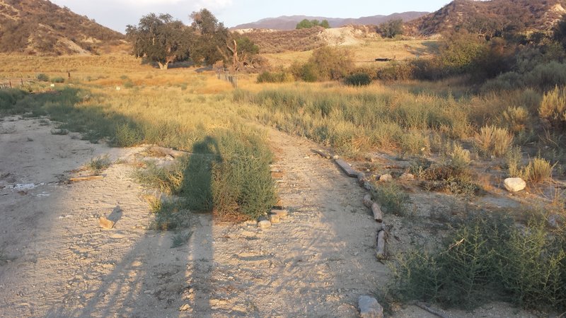 Veer off to the right to start singletrack