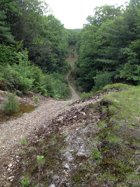 A short steep sections with lots of loose gravel turns into a narrow singletrack through low underbrush