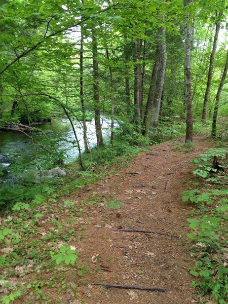 Rolling down the Quinapoxet River...