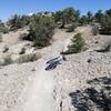 Deeply weathered rock has turned to sand, producing dune-like sections