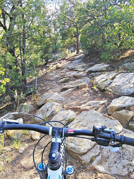 While there are few distinct steps, the deformed sandstone provides extensive sections of chunky trail