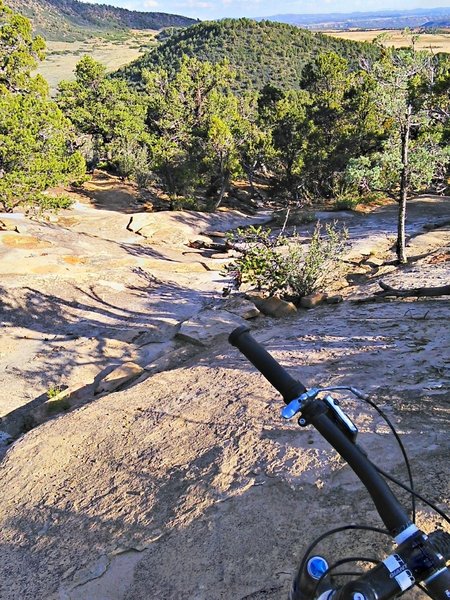 Rolling slickrock overlooking Horse Gulch / Telegraphy valley