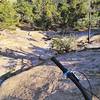 Rolling slickrock overlooking Horse Gulch / Telegraphy valley