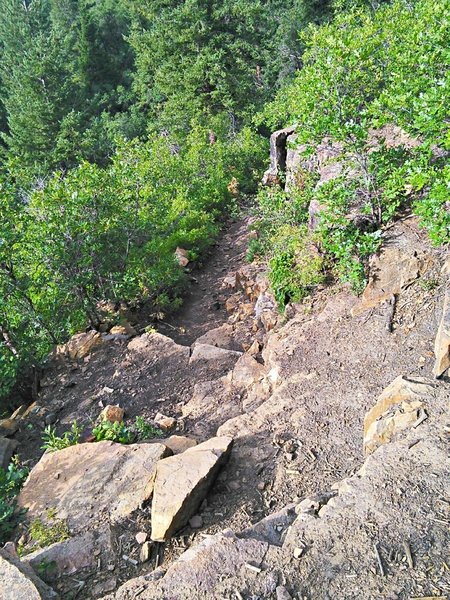 The initial plunge into the gorge is quite steep and rocky, with bedrock steps and water bars