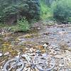 River crossing at an August level