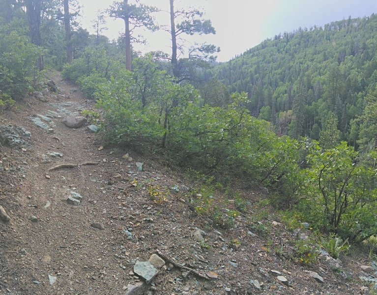 Climbing up the side of Box Canyon