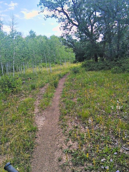 Open plateau is a relief after the Box Canyon ascent