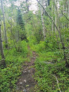 Smooth flow trail, West Mancos-style