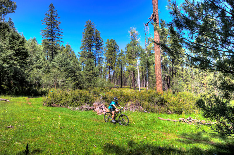 Riding near Pierce Spring