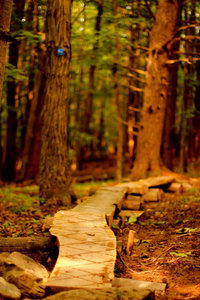 Some sweet bridge work!