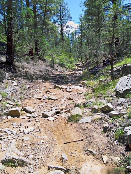 Sections run through the arroyo