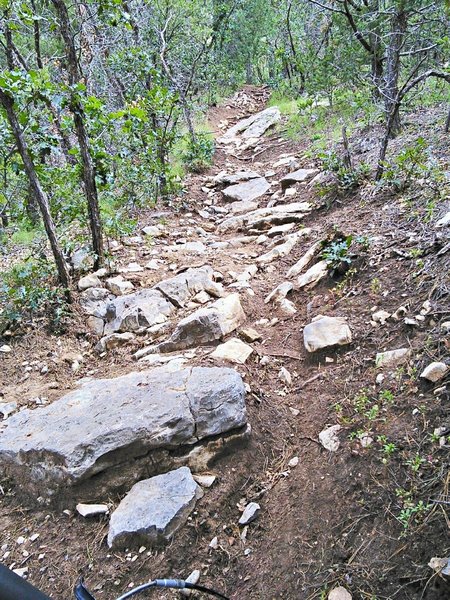 Arroyo section is steep and rough