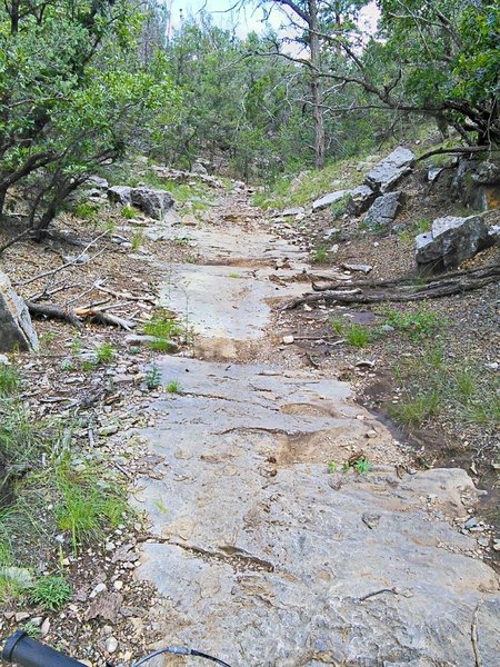 Bedrock pavement in the arroyo