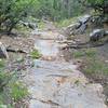 Bedrock pavement in the arroyo