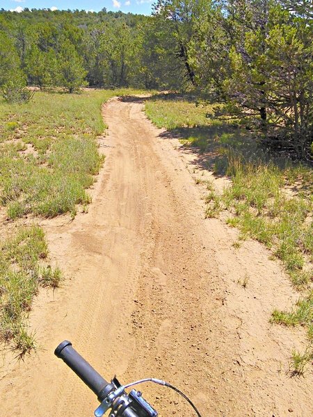 Smooth sections quickly transition to rock gardens near the drainages