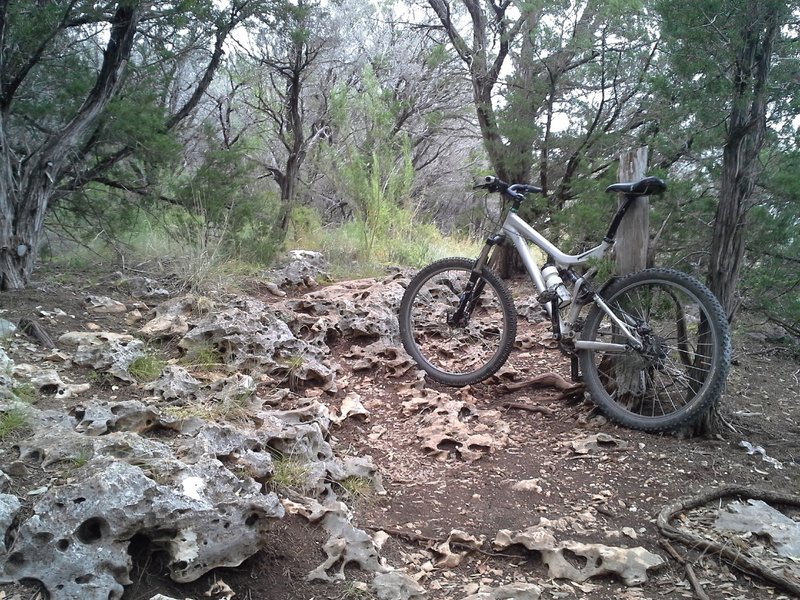 A section of the "Cheese Grater" rocks along the Goodwater Loop/Lake Georgetown