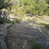 A section of slick rock trail along the Goodwater Loop