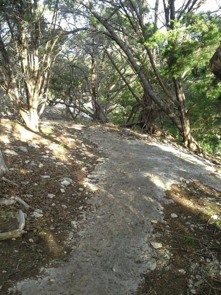 Solid granite rock trail along the Goodwater Loop