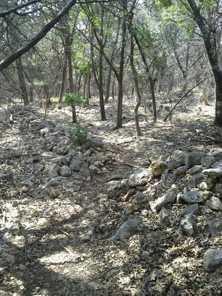 The Goodwater Loop running along side and through an old rock wall