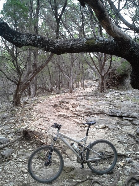 A very technical section of the Goodwater Loop near the Cedar Breaks Park