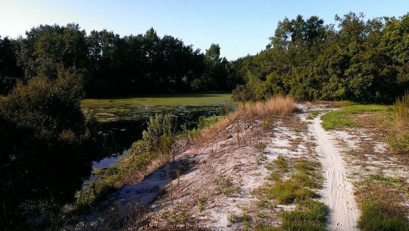 One of the many lakes, from Randy's Trail.