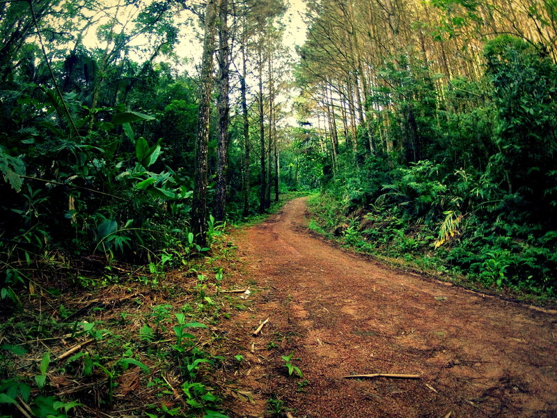 Trecho em estrada 4x4 após passagem em rio