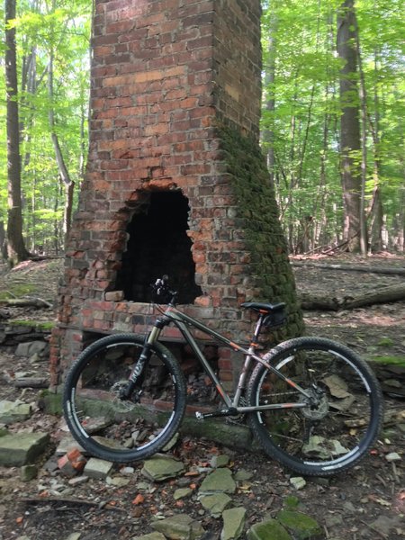 Remnants of an old cabin in the woods along the trail