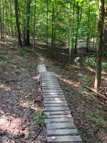 One of the man made obstacles on the 'expert' spur.