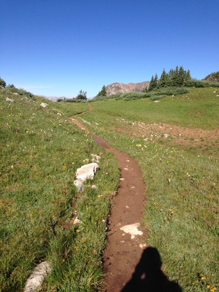 Pristine trail between steep sections on Trail Rider descent