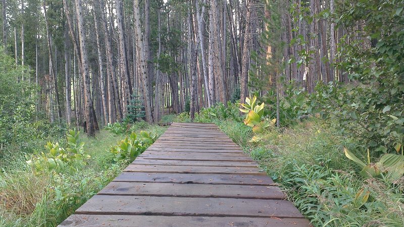 Boardwalk on the Peaks Connect just above the base of Peak 8