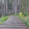 Boardwalk on the Peaks Connect just above the base of Peak 8