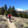 Mammoth Mountain in the Background