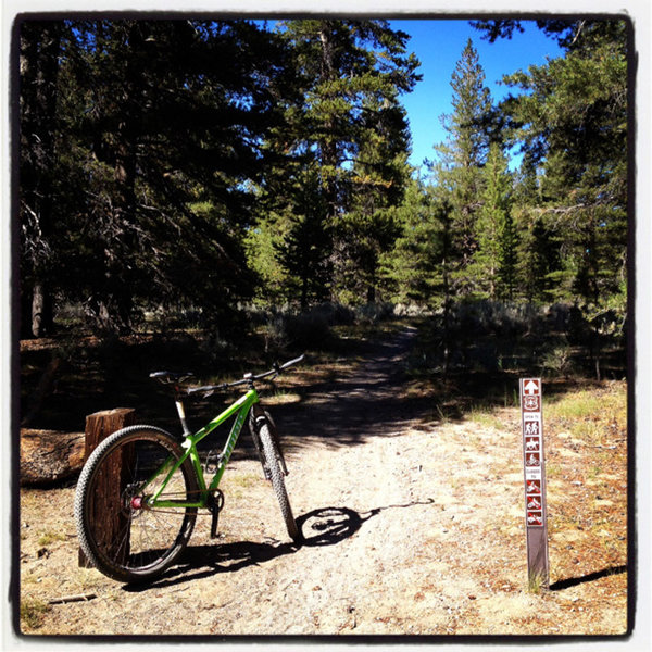 The Inyo Craters trailhead