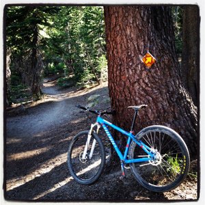 Cruise singletrack