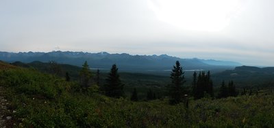 Looking down from the top of the biking trail