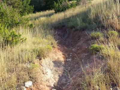 Steep little downhill channel, common for this trail