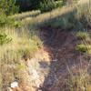 Steep little downhill channel, common for this trail