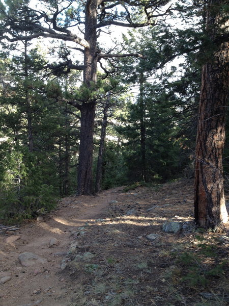 Pence Park the other side of the peak trail