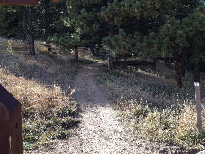 Trail into Pence Park