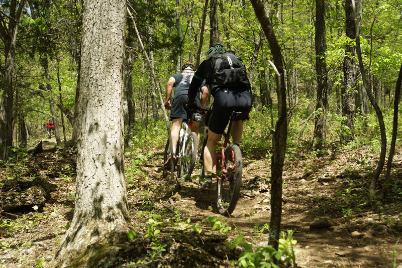 Onwards and upwards on the upper leg of the Fossil Ridge trail.